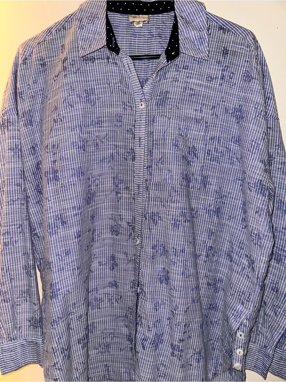 Blue Striped/floral Button-Down Shirt